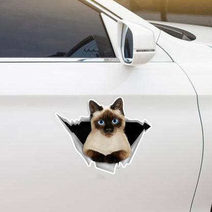 We Like Riding In Cars – Aufkleber für Auto/Tür/Kühlschrank/Laptop mit siamesischer Katze V1