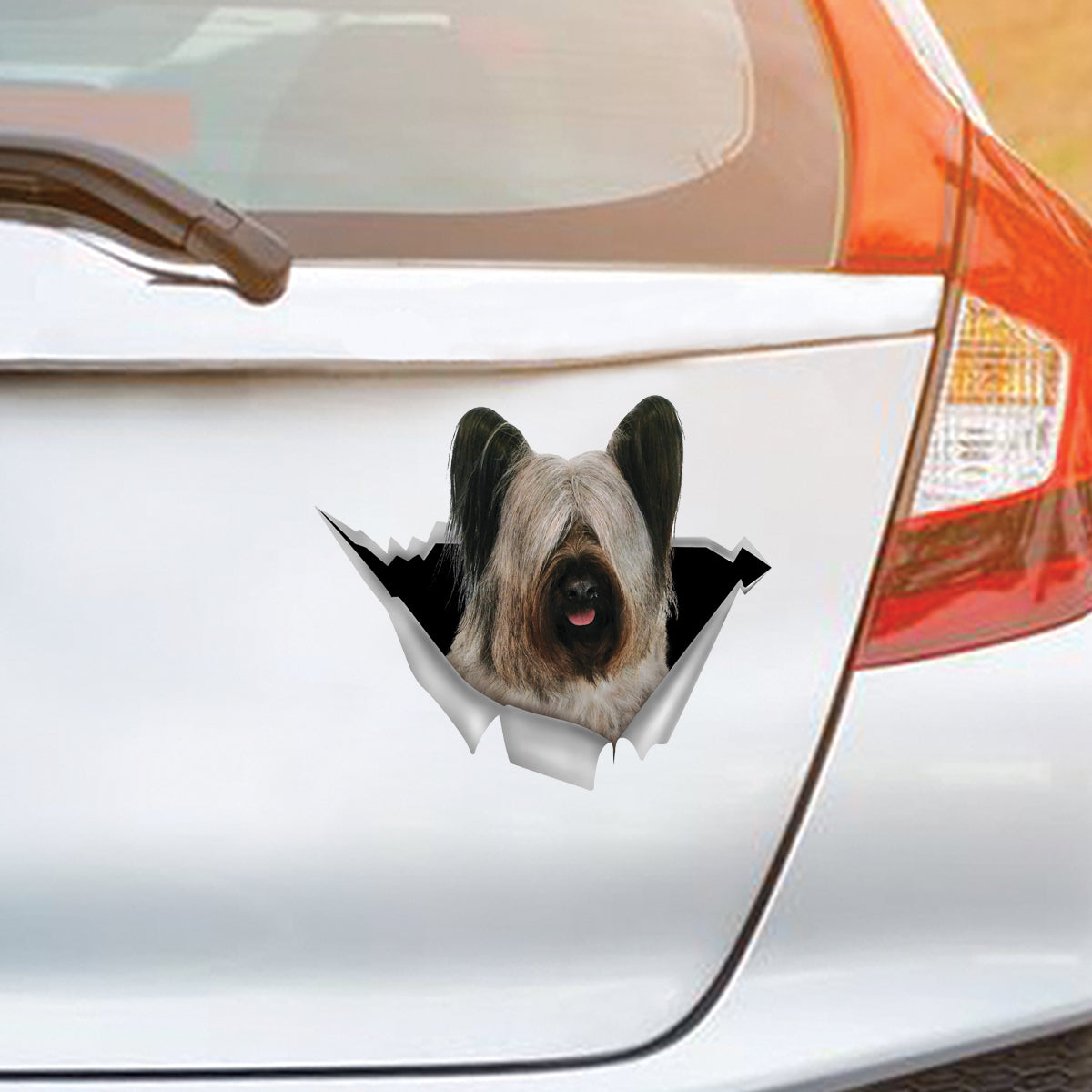 We Like Riding In Cars – Skye Terrier Auto-/Tür-/Kühlschrank-/Laptop-Aufkleber V1