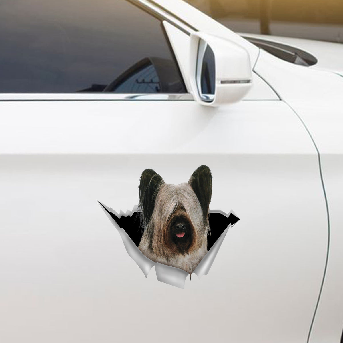 We Like Riding In Cars – Skye Terrier Auto-/Tür-/Kühlschrank-/Laptop-Aufkleber V1