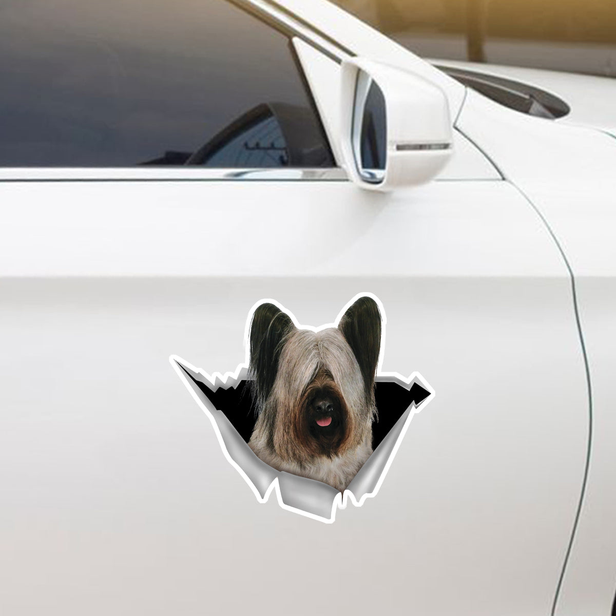 Nous aimons rouler dans les voitures - Skye Terrier Autocollant de voiture/porte/réfrigérateur/ordinateur portable V1