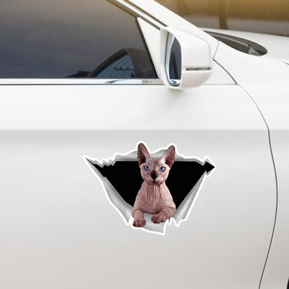 Nous aimons rouler dans les voitures - Sphynx Cat Car/ Door/ Fridge/ Laptop Sticker V1
