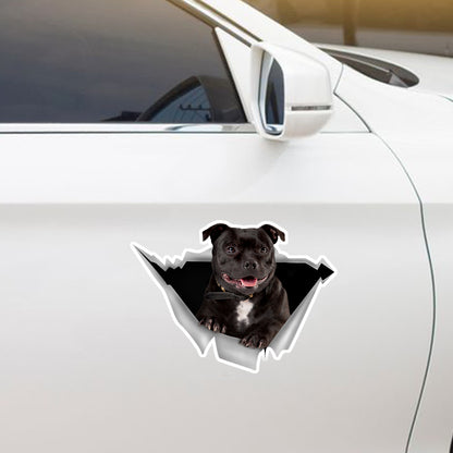 Nous aimons rouler dans les voitures - Staffordshire Bull Terrier Autocollant de voiture/porte/réfrigérateur/ordinateur portable V1