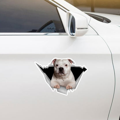 We Like Riding In Cars – Staffordshire Bullterrier Auto-/Tür-/Kühlschrank-/Laptop-Aufkleber V2