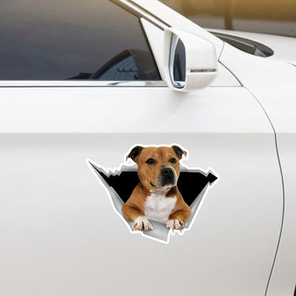 We Like Riding In Cars - Staffordshire Bull Terrier Car/ Door/ Fridge/ Laptop Sticker V3