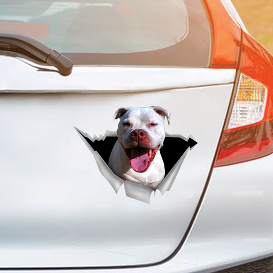 Nous aimons rouler dans les voitures - Staffordshire Terrier Autocollant de voiture/porte/réfrigérateur/ordinateur portable V1