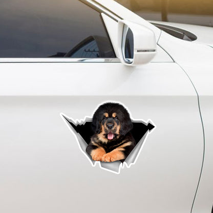 We Like Riding In Cars - Tibetan Mastiff Car/ Door/ Fridge/ Laptop Sticker V1