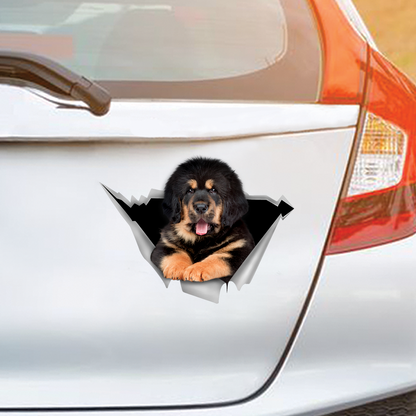We Like Riding In Cars - Tibetan Mastiff Car/ Door/ Fridge/ Laptop Sticker V1