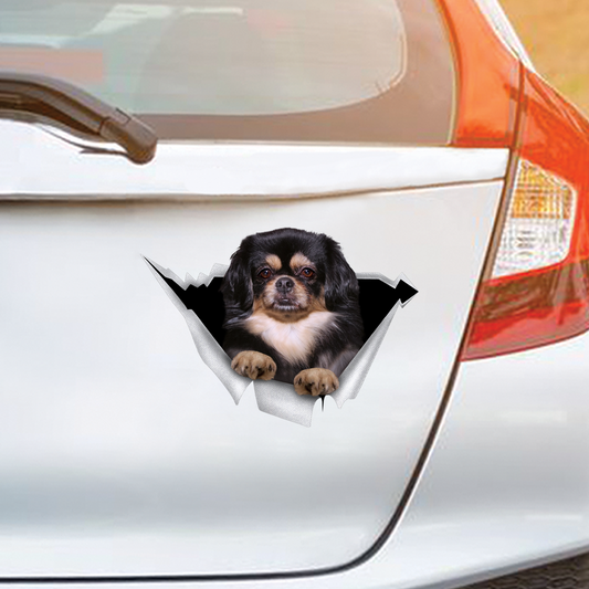 We Like Riding In Cars – Auto-/Tür-/Kühlschrank-/Laptop-Aufkleber mit tibetischem Spaniel V2