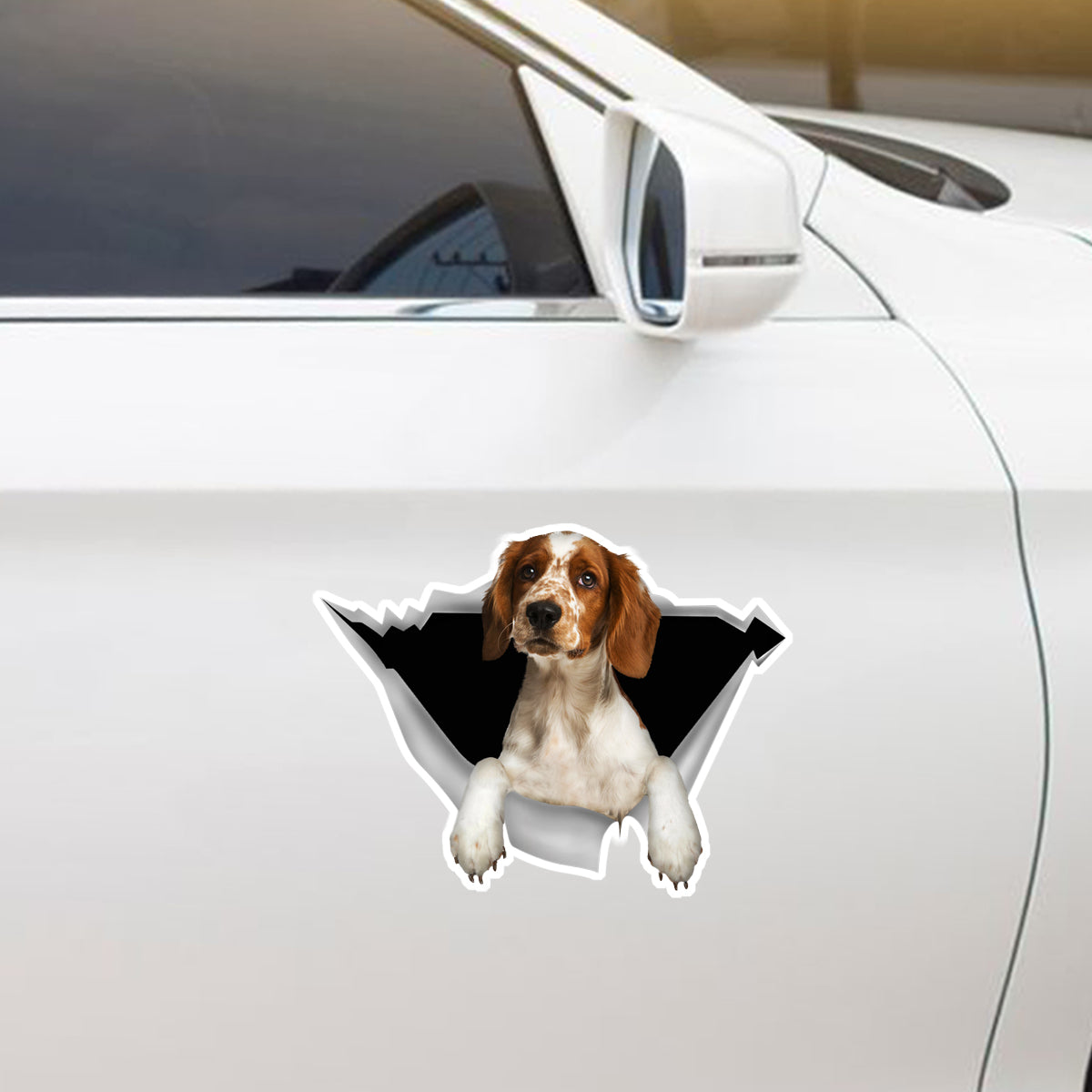 We Like Riding In Cars - Welsh Springer Spaniel Car Sticker V1