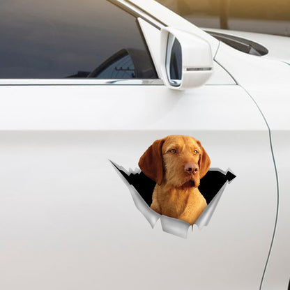 Nous aimons rouler dans les voitures - Autocollant Vizsla pour voiture/porte/réfrigérateur/ordinateur portable aux cheveux métalliques V1