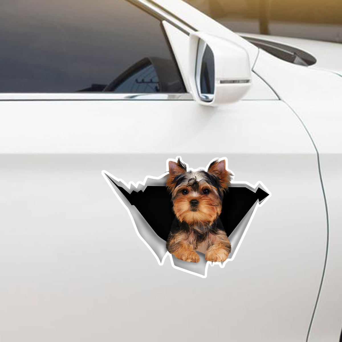 We Like Riding In Cars - Yorkshire Terrier Car/ Door/ Fridge/ Laptop Sticker V1