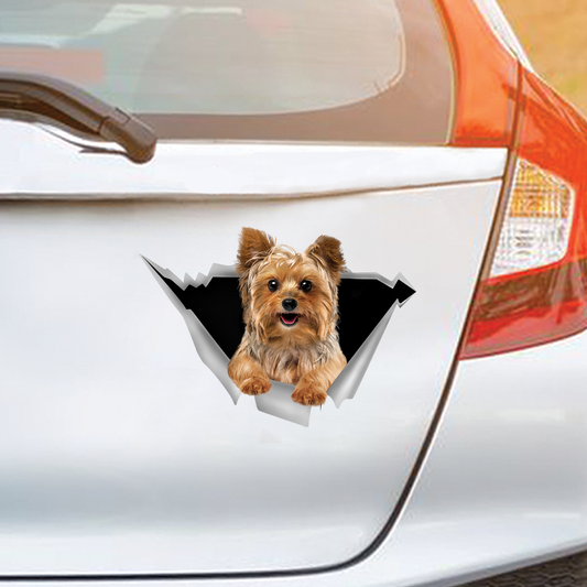We Like Riding In Cars - Yorkshire Terrier Car Sticker V2