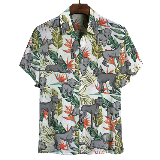 Weimaraner - Hawaiian Shirt V1