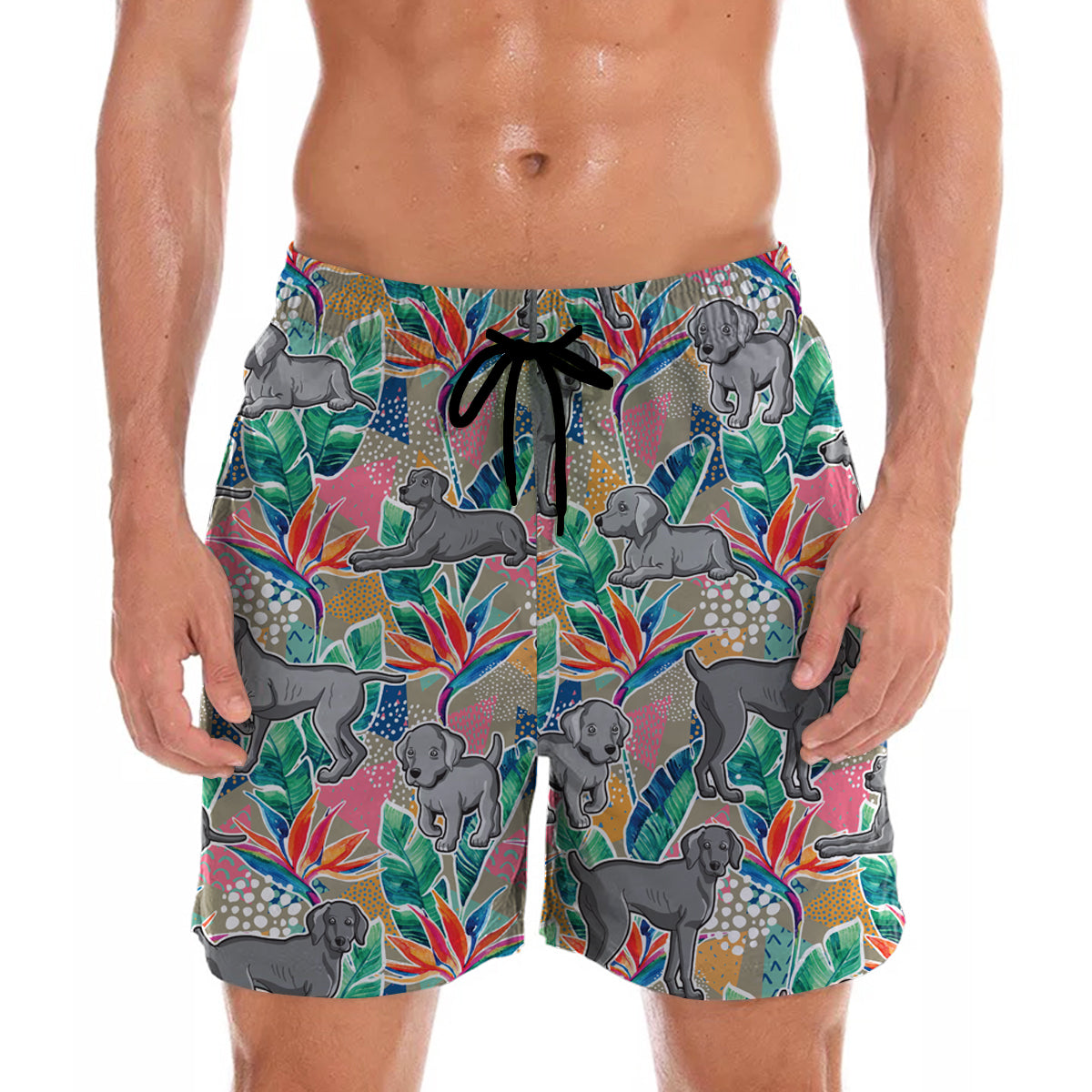 Weimaraner - Hawaiian Shorts V3