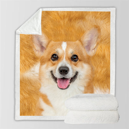 Welsh Corgi - Blanket V5