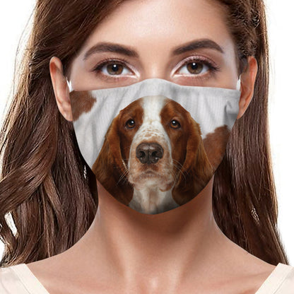 Welsh Springer Spaniel F-Maske V1