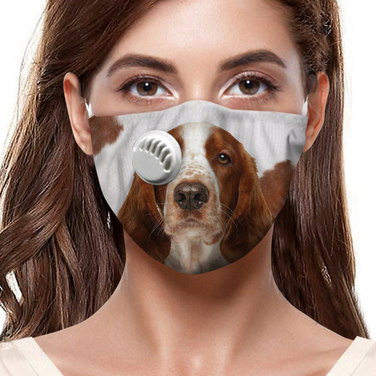 Welsh Springer Spaniel F-Maske V1