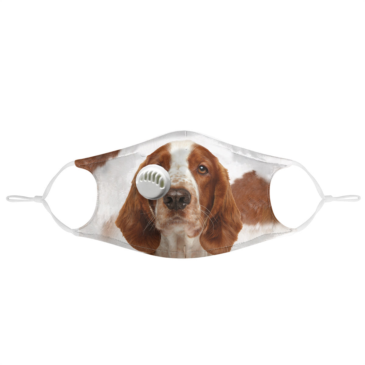 Masque F Welsh Springer Spaniel V1