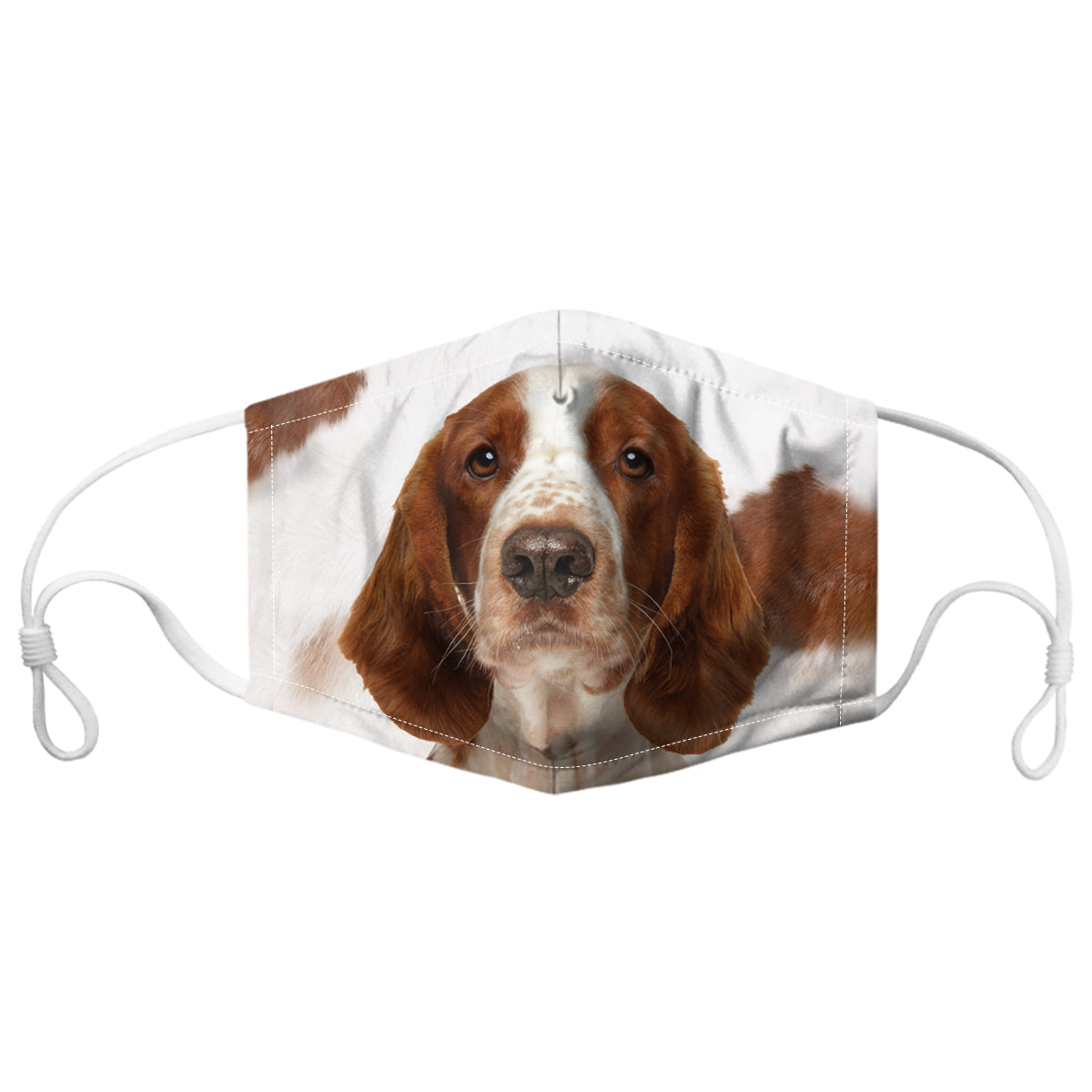 Welsh Springer Spaniel F-Mask V1