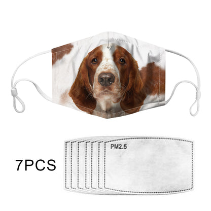 Masque F Welsh Springer Spaniel V1