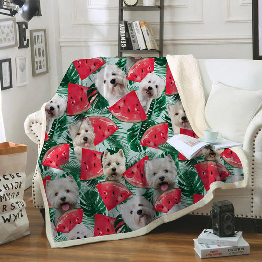 West Highland White Terrier - Colorful Blanket V3