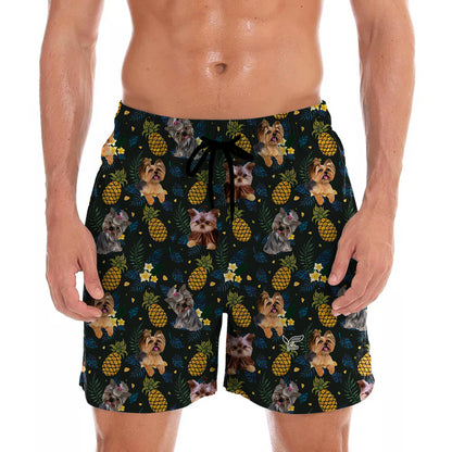 Yorkshire Terrier - Hawaii-Shorts V7