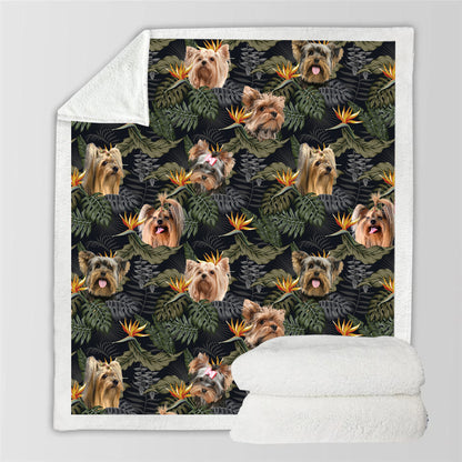 Yorkshire Terrier - Colorful Blanket V1