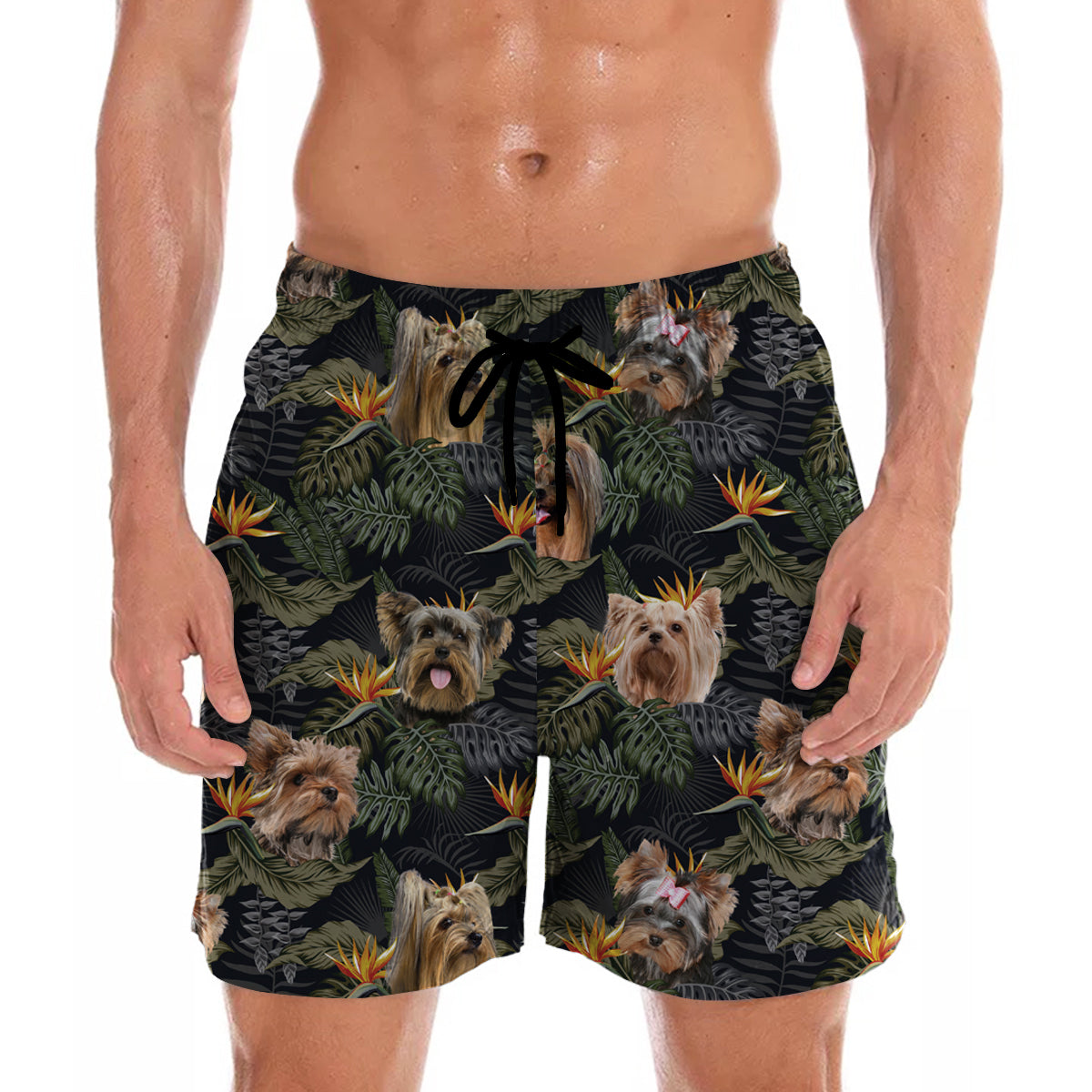 Yorkshire Terrier - Hawaiian Shorts V3