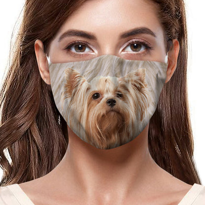 Masque F Yorkshire Terrier V1