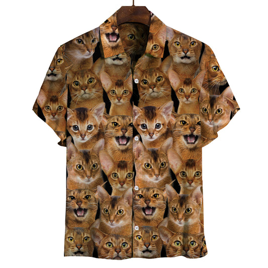 You Will Have A Bunch Of Abyssinian Cats - Shirt V1