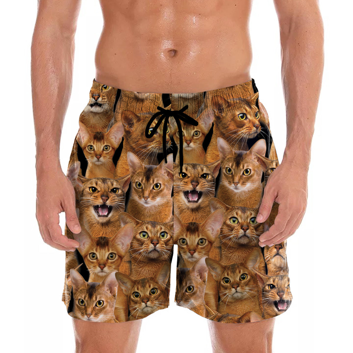 Vous aurez une bande de chats abyssins - Shorts V1