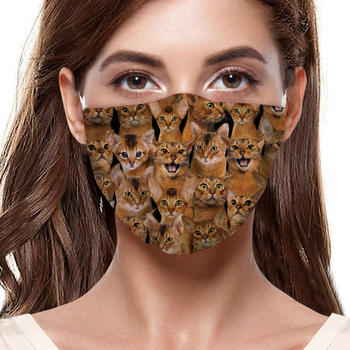 Sie werden einen Haufen Abessinierkatzen F-Maske haben