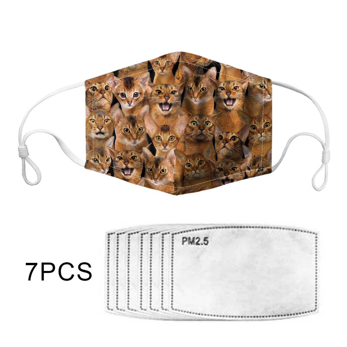 You Will Have A Bunch Of Abyssinian Cats F-Mask