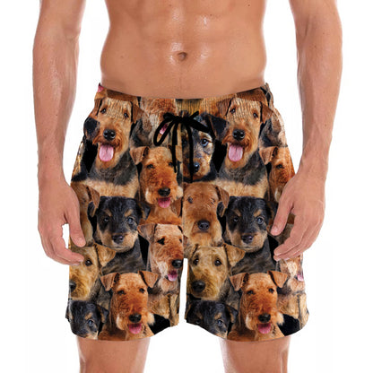 You Will Have A Bunch Of Airedale Terriers - Shorts V1