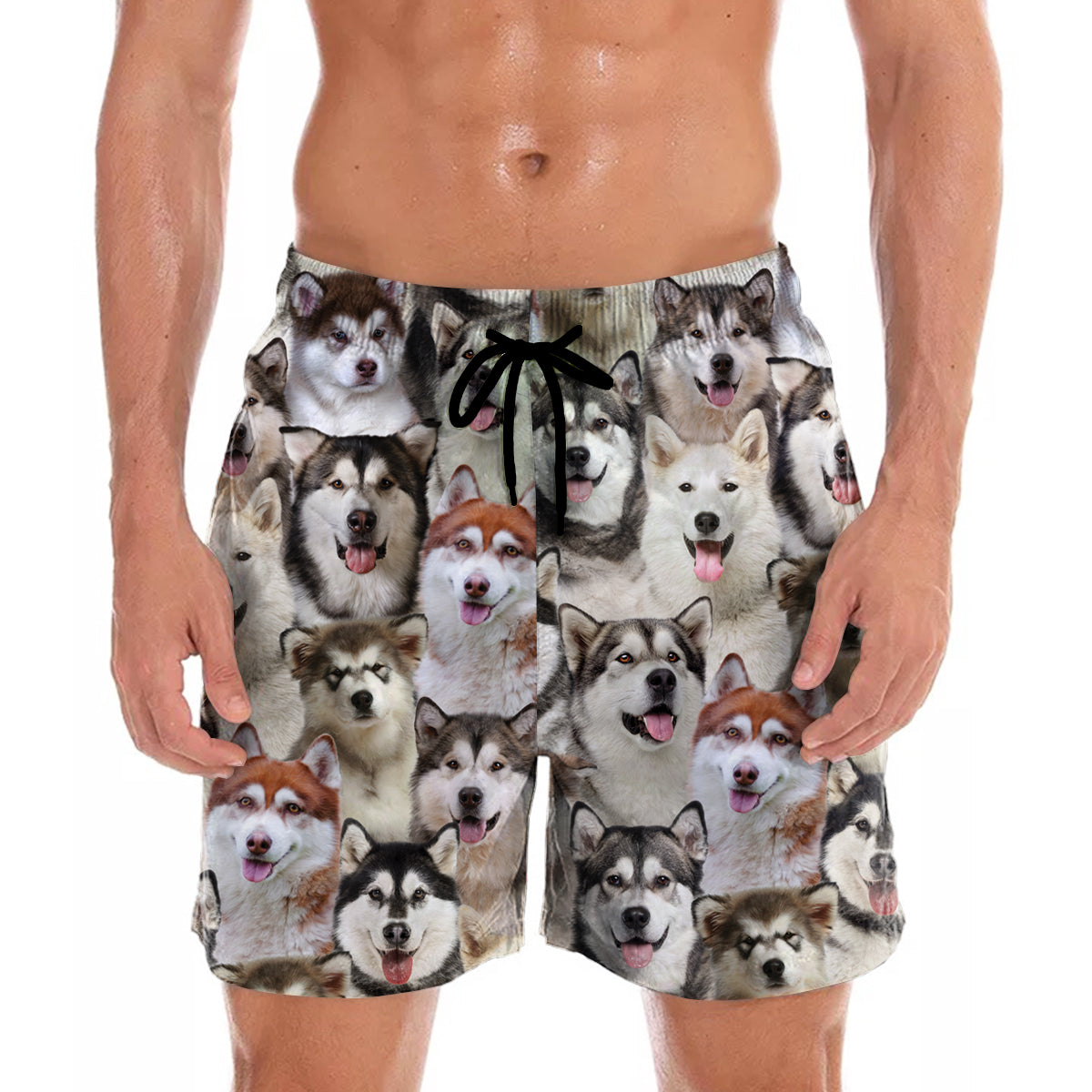 Sie werden einen Haufen Alaskan Malamutes haben – Shorts V1