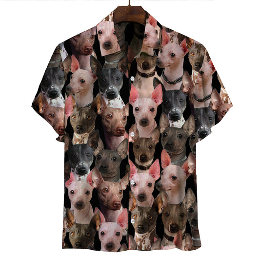 Sie werden einen Haufen American Hairless Terrier haben - Shirt V1