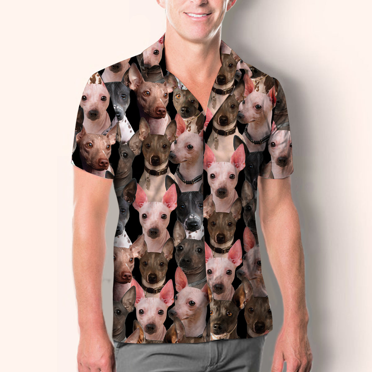 Sie werden einen Haufen American Hairless Terrier haben - Shirt V1