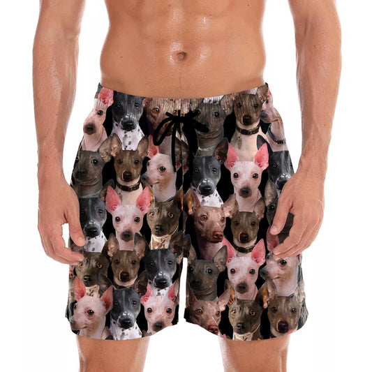 Vous aurez un tas de terriers américains sans poils - Shorts V1