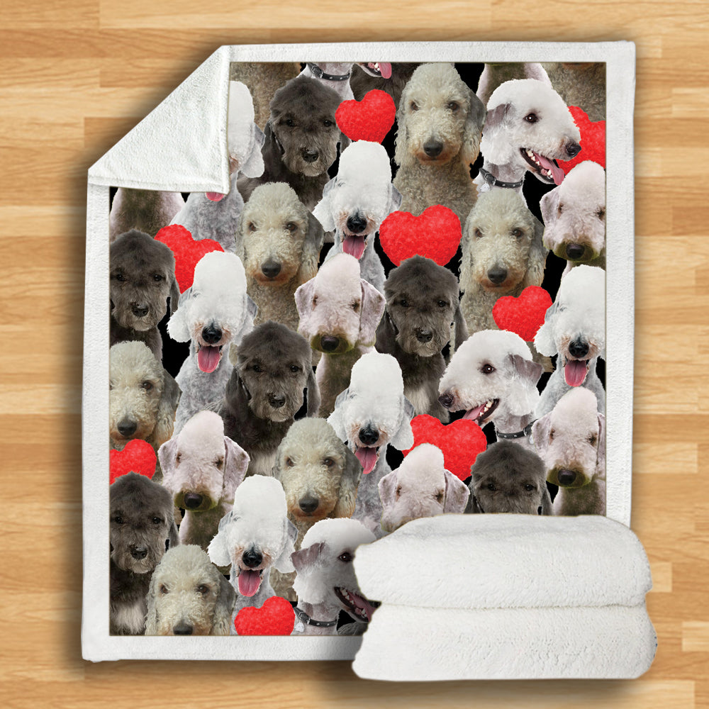 Bedlington Terriers - Blanket V1