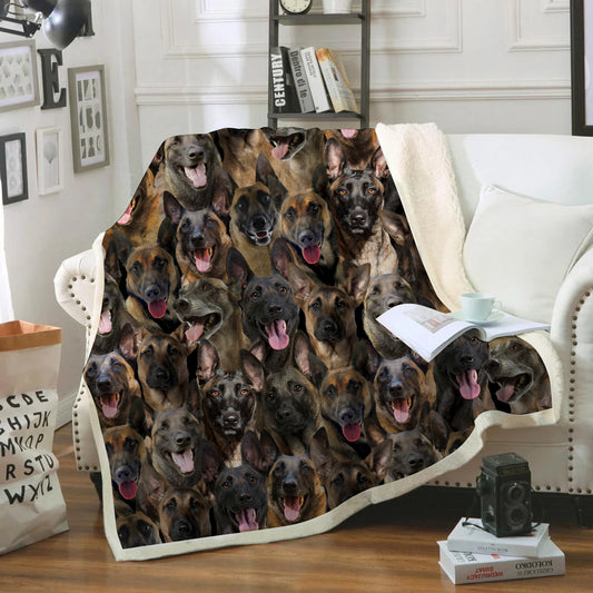 You Will Have A Bunch Of Belgian Malinois - Blanket V1