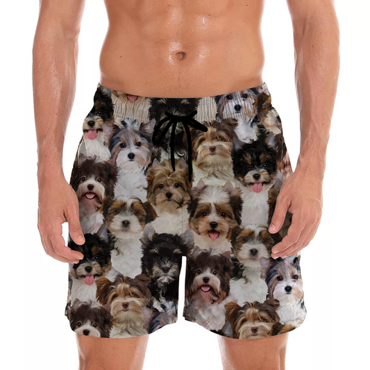 Vous aurez un tas de Biewer Terriers - Shorts V1