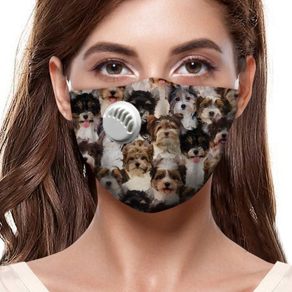 Sie werden einen Haufen Biewer Terrier F-Maske haben
