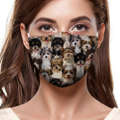 Vous aurez un tas de masques F Biewer Terriers