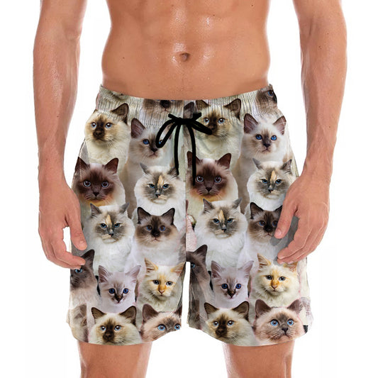 Vous aurez un groupe de chats de Birmanie - Shorts V1