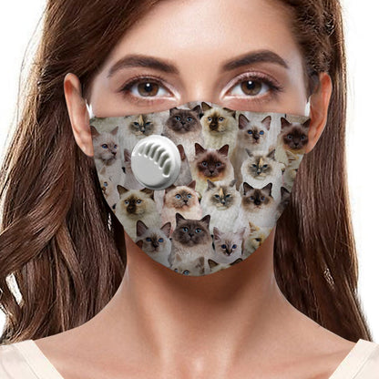 Sie werden einen Haufen Birma-Katzen F-Maske haben