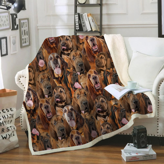 You Will Have A Bunch Of Bloodhounds - Blanket V1