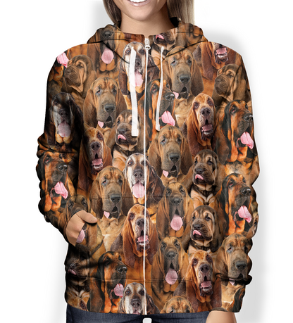 You Will Have A Bunch Of Bloodhounds - Hoodie V1