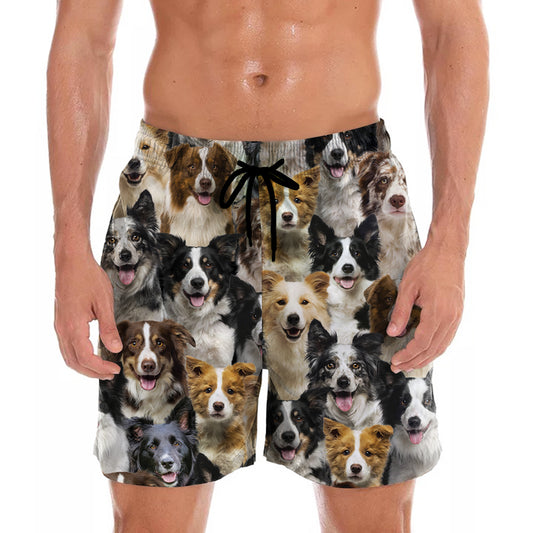 You Will Have A Bunch Of Border Collies - Shorts V1