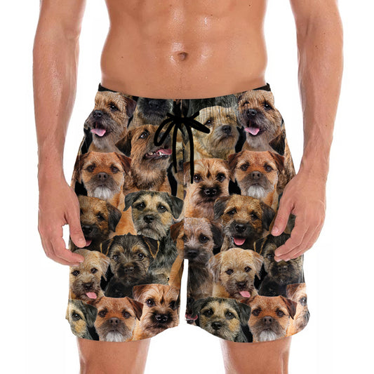 Vous aurez un groupe de Border Terriers - Shorts V1