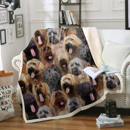 You Will Have A Bunch Of Briards - Blanket V1